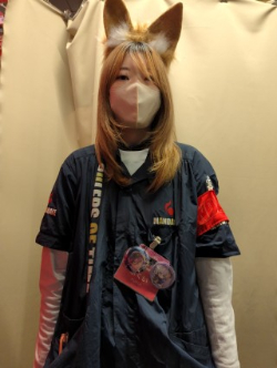 狐